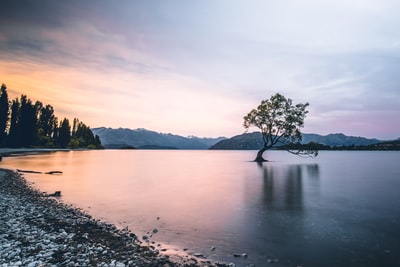 平静的水域
